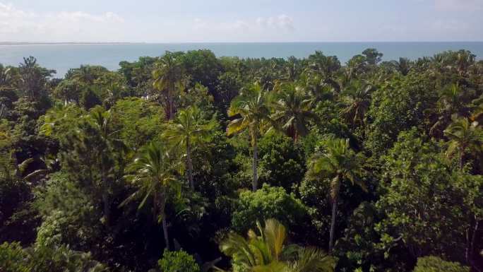 马达加斯加Mahambo热带海岸