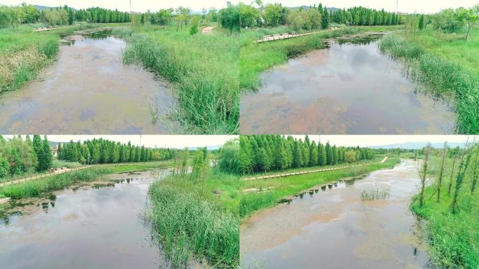 东大河湿地公园夏季