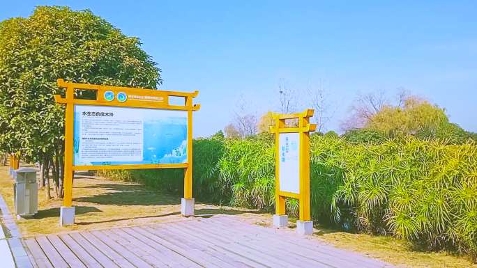 武汉摄影杜公湖湿地公园告示牌科普简介展板