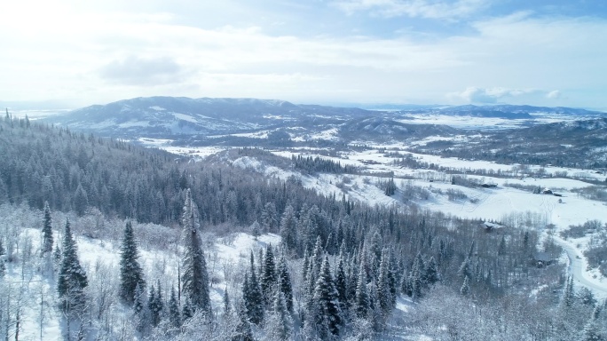 冬季穿越冰雪覆盖的森林鸟瞰图