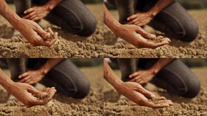 女农场主用手掰开土块测试土壤
