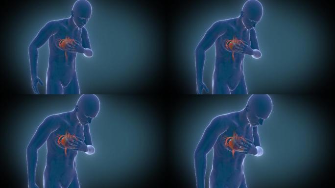 AE 文件心脏病心脏供血 心脏跳动