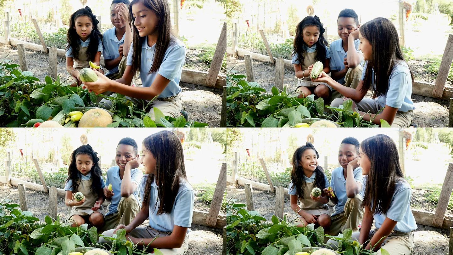小学生检查香蕉胡椒和西葫芦