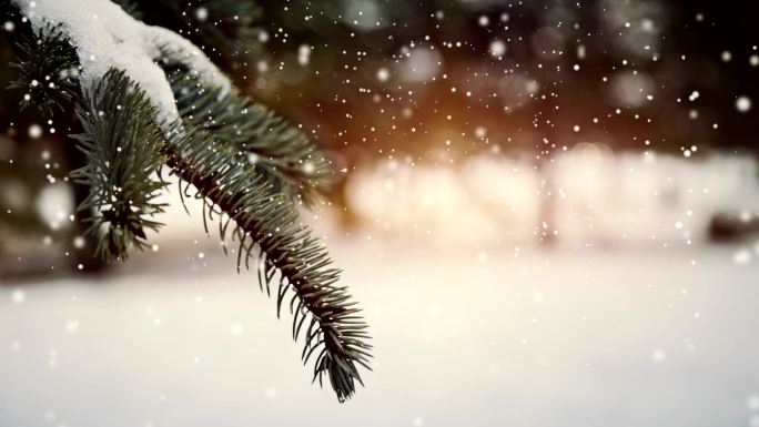 下雪中的树叶雪花飘落冬天冬季