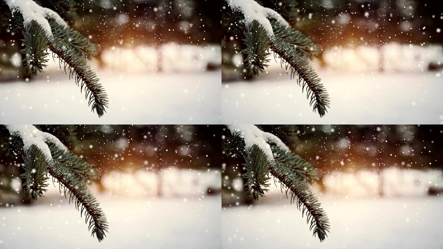 下雪中的树叶雪花飘落冬天冬季