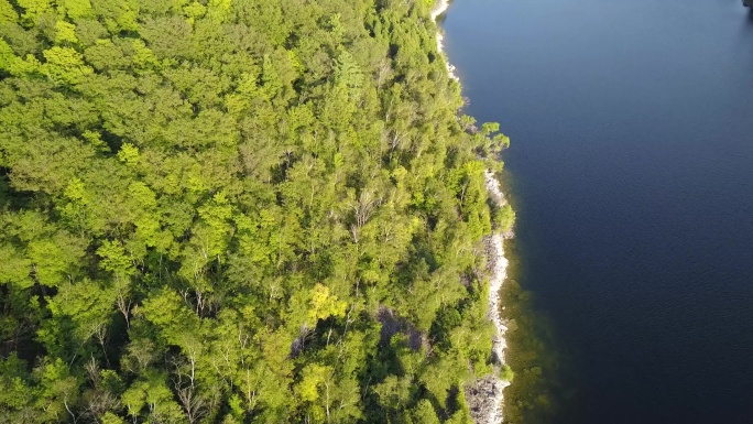 森林鸟瞰图热带雨林亚马逊流域森林湖泊