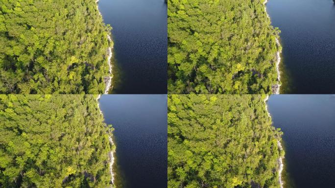 森林鸟瞰图热带雨林亚马逊流域森林湖泊