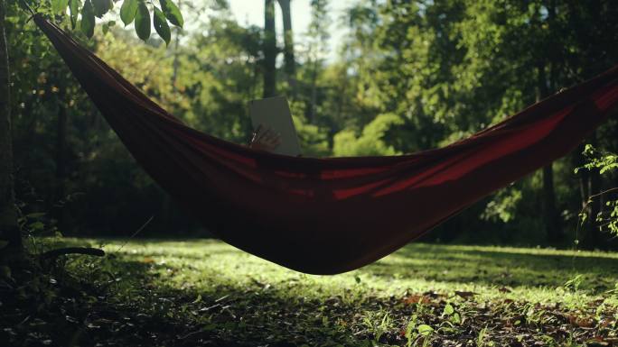 在吊床上看书的人森林吊床夏日阳光