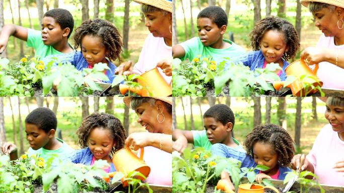 祖母和孩子们在户外种植鲜花和蔬菜