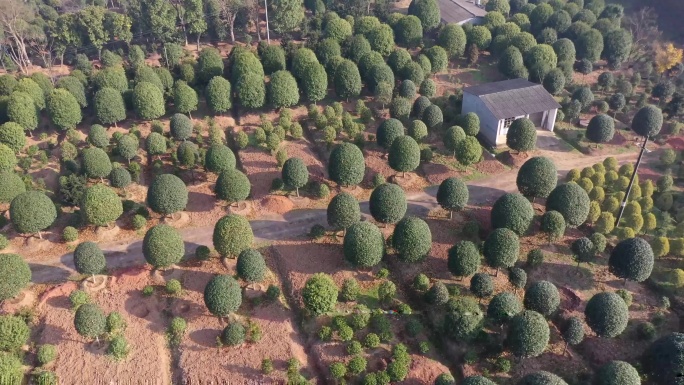 乡村建设