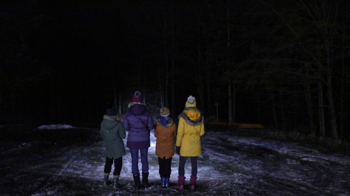 孩子们晚上用手电筒看森林