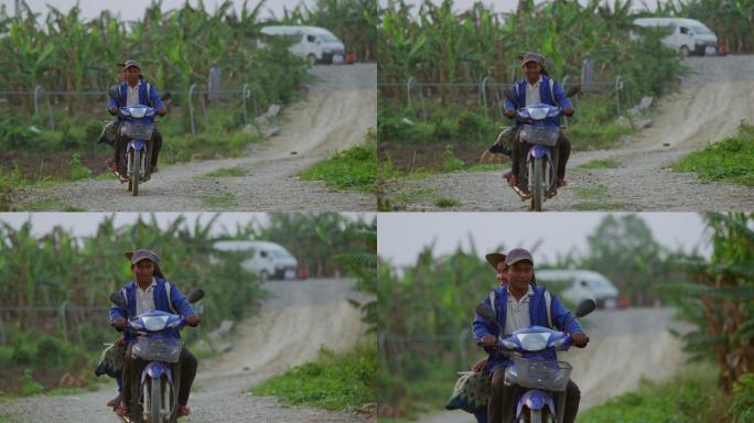 老挝香蕉种植园骑摩托车的农民