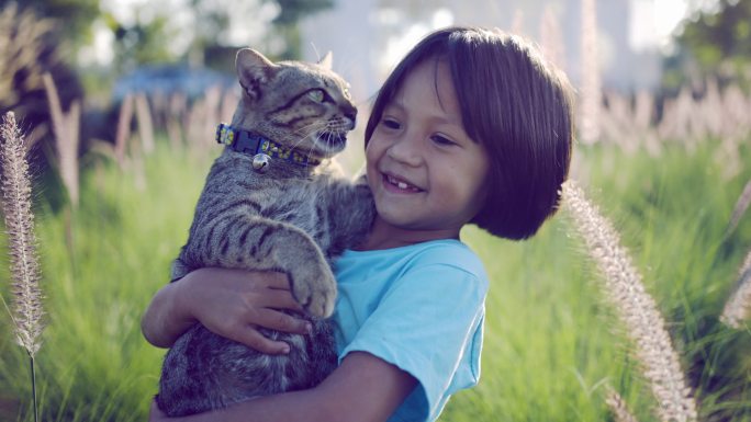 抱着猫咪的小女孩视频素材