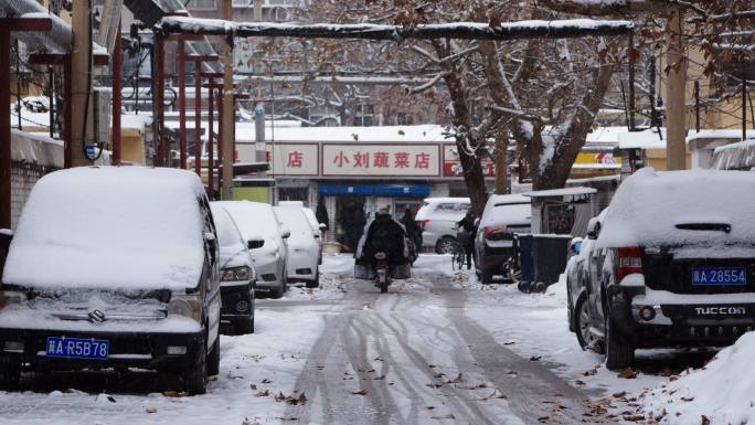 石家庄大雪