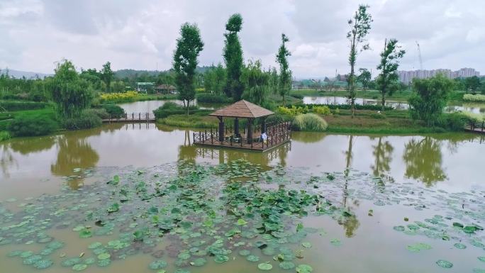 七彩云南古滇名城古滇湿地公园