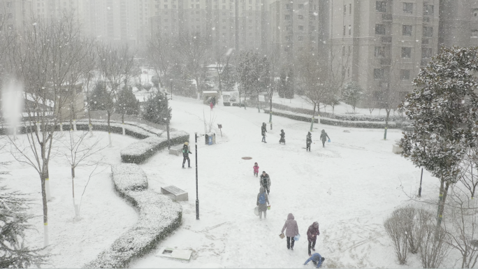 下雪了-冬天小区下雪居民赏雪