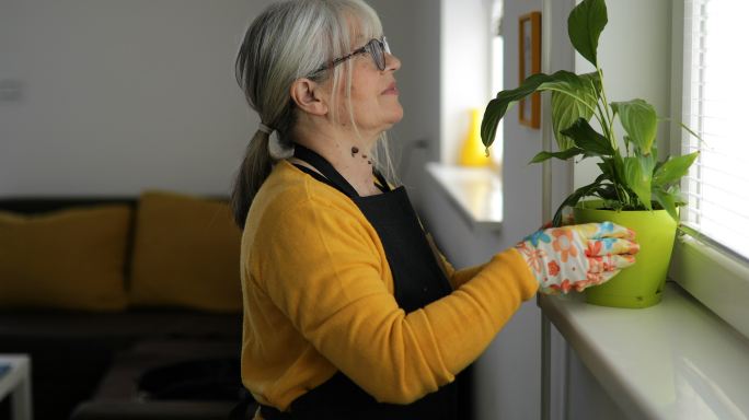 女人给盆栽晒太阳国外外国养花盆景绿植花卉