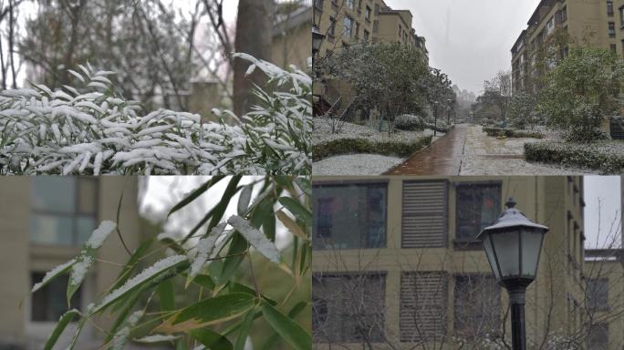 下雪 雪景 下雪了