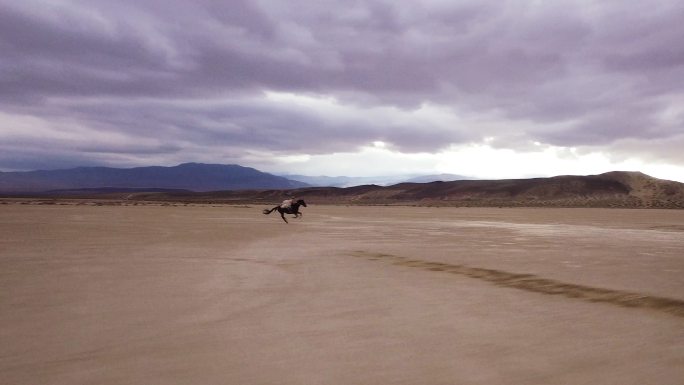 沙漠里骑马的女人纵马奔腾马匹驰骋