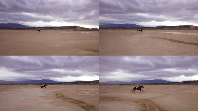沙漠里骑马的女人纵马奔腾马匹驰骋
