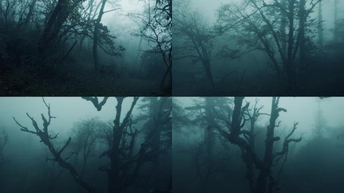 丛林迷雾5K 02