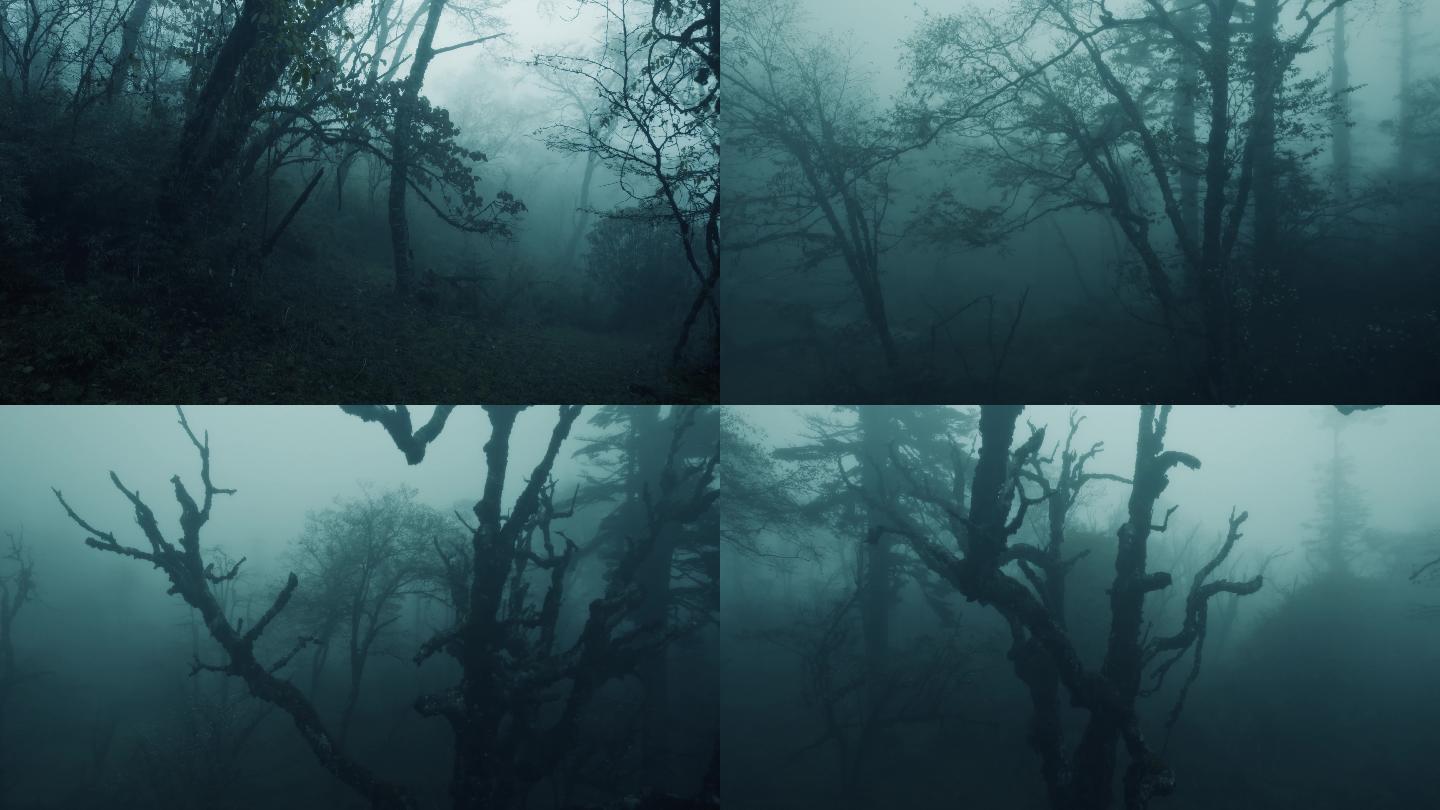 丛林迷雾5K 02