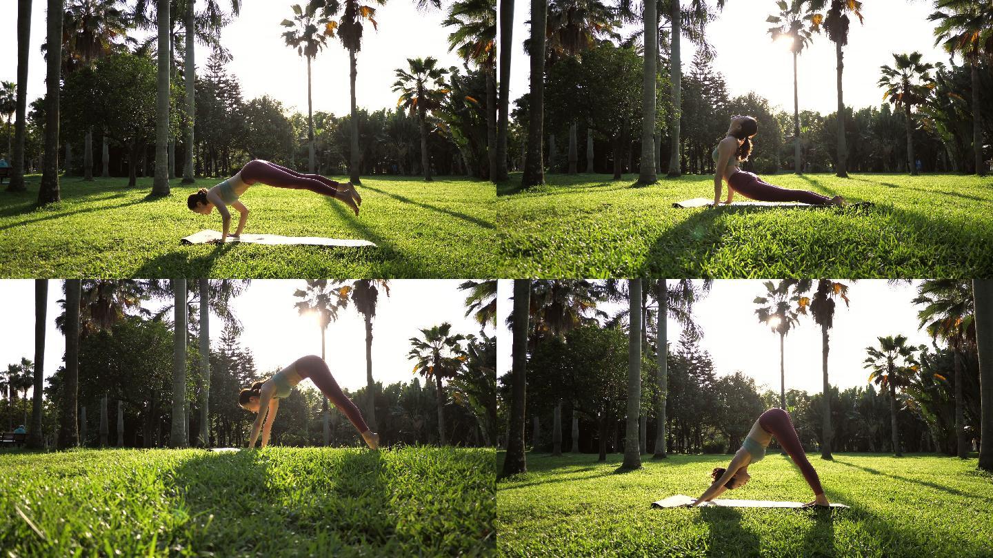 美女在公园练瑜伽运动健身锻炼有氧草坪户外