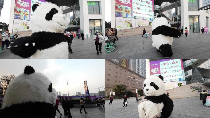 可爱熊猫人跳舞