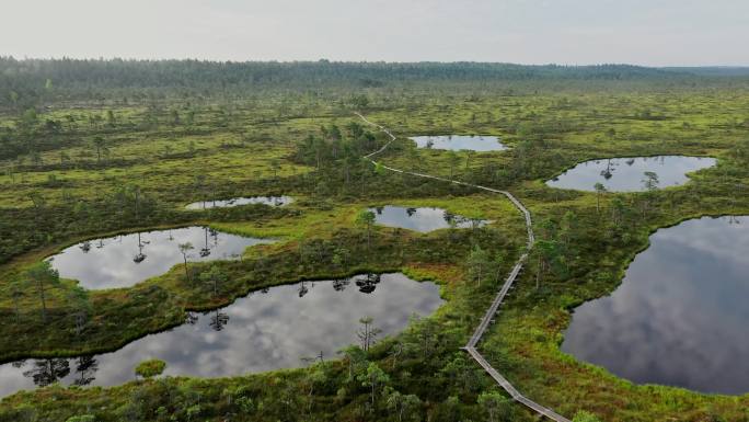 爱沙尼亚沼泽风景鸟瞰图