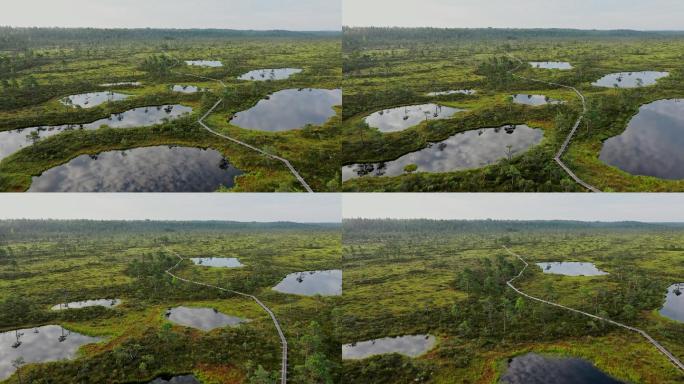 爱沙尼亚沼泽风景鸟瞰图