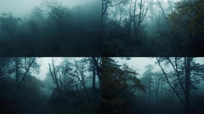 丛林迷雾5K 03