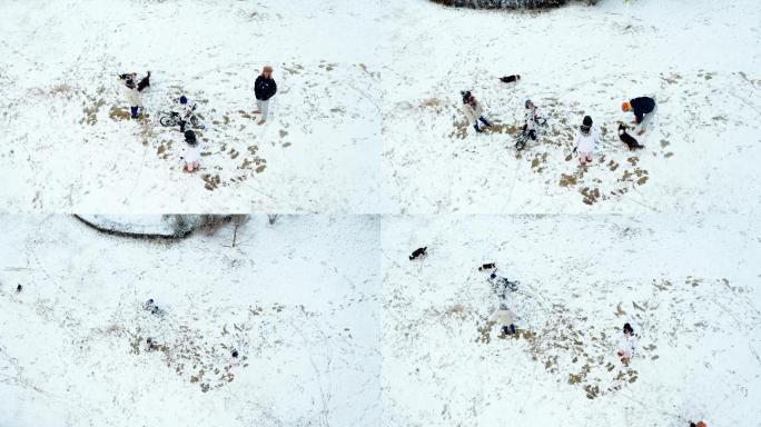 雪地里的一家人-航拍一家人雪中和狗狗玩耍