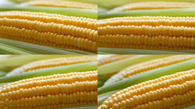 玉米农作物农产品特写收获丰收