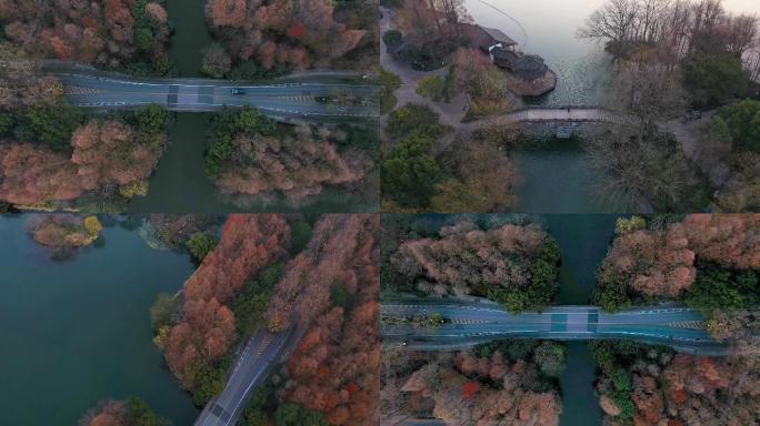 杭州西湖杨公堤茅家埠航拍秋色