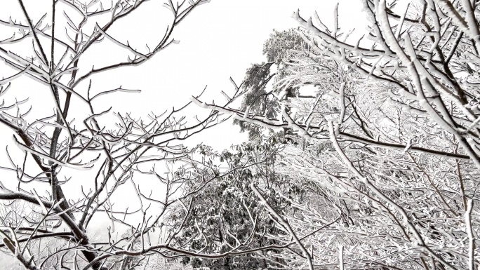 杭州临安大明山风景区下雪天的雾凇风光