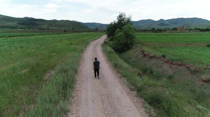 行走在高原田地的男人背影 原航拍素材
