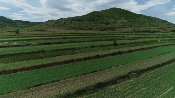 俯瞰草原上庄稼地梯田 原始航拍素材