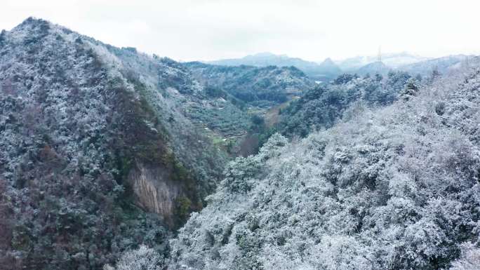 下雪之后