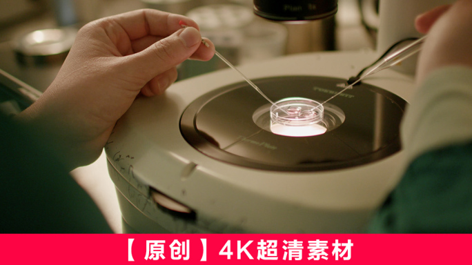 生殖科试管婴儿人工授精A  - 4K