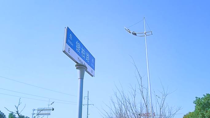 4k超清路灯武汉路牌银柏路道路指示牌路标