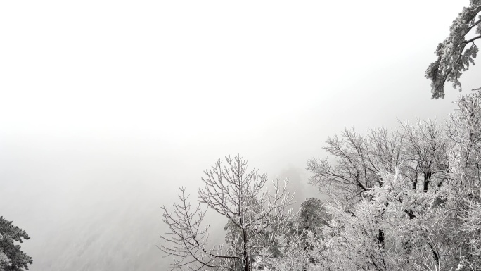 杭州临安大明山风景区下雪天的雾凇风光