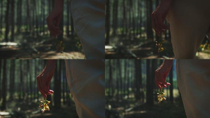 穿过森林的女人唯美阳光森林树叶逆光竹林柳
