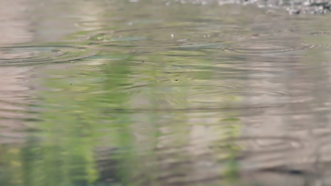 雨滴水中涟漪水波纹荡漾平静水面溅起水花