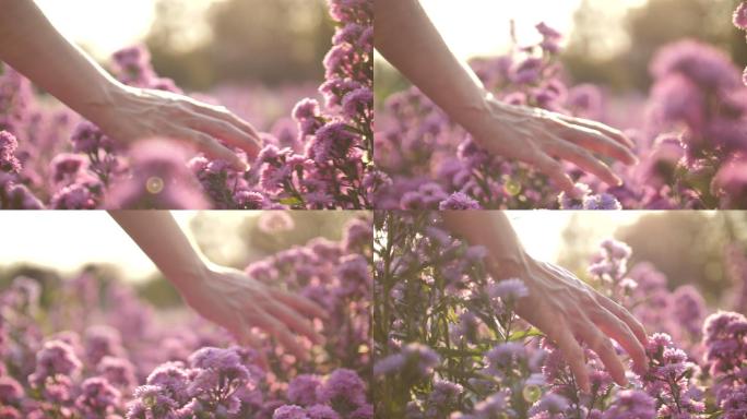 女人用手抚摸着花朵