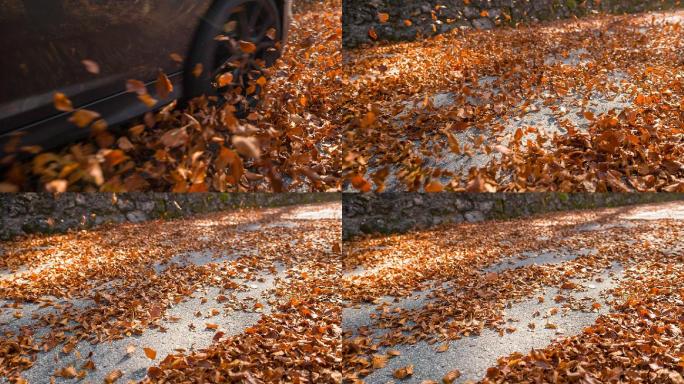 穿越秋叶的汽车驶过落叶升格慢镜头飞舞