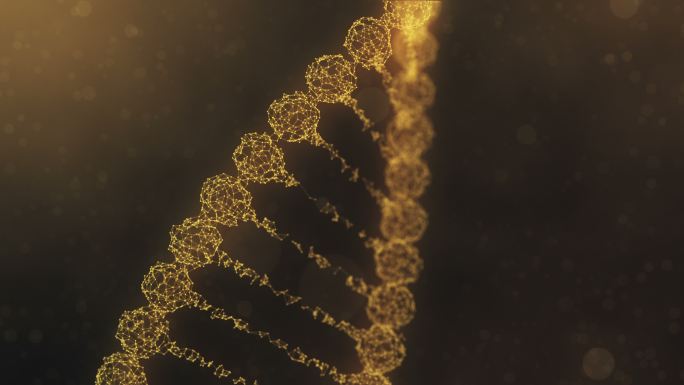 旋转丛DNA链的组装和散射-金橙色版本