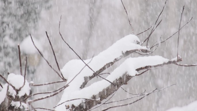 鹅毛大雪