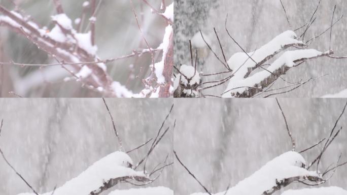 鹅毛大雪