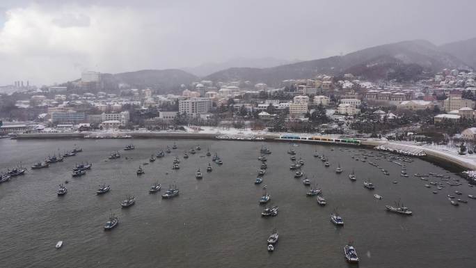 雪后威海 海源公园雪景