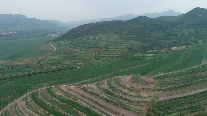 内蒙草原上的优美的小山村4K航拍素材